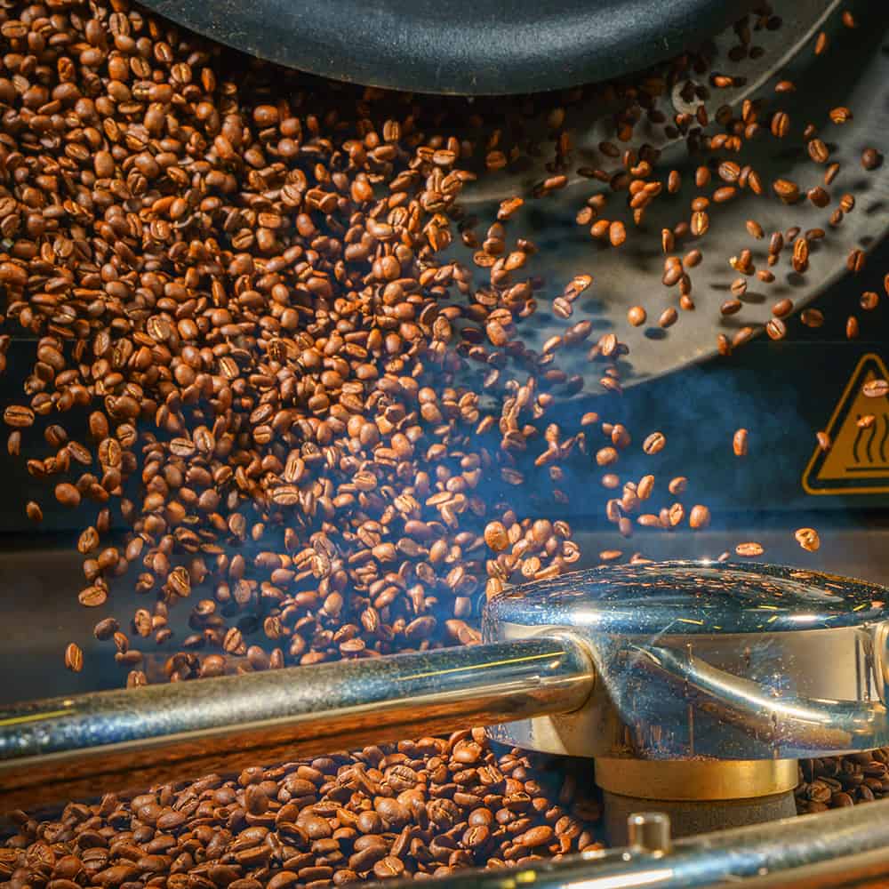 Food and Beverage bean production